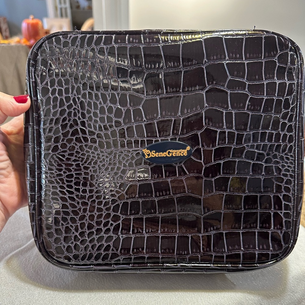 Lipsence case